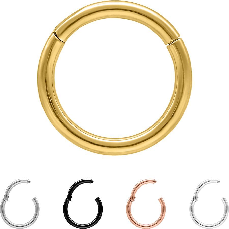 Piercing Ring Segment Titan 