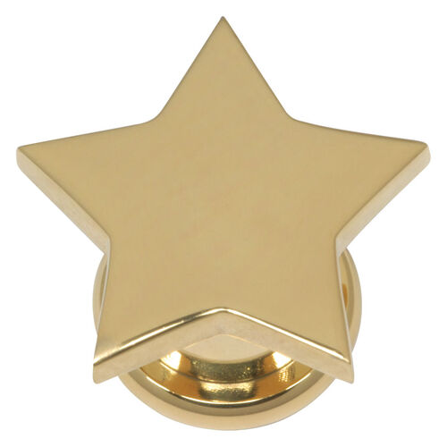 Steel Basicline® Screw Front Fleshtunnel Gold Star